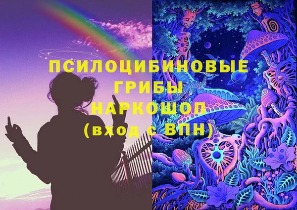 крисы Гусев