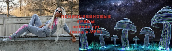 герыч Дмитриев