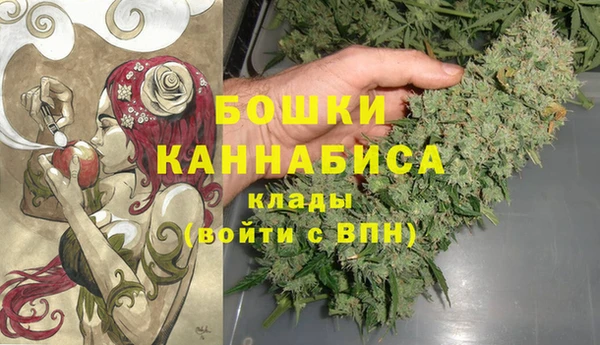 крисы Гусев