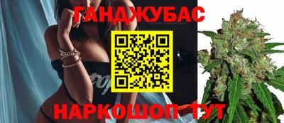 гидра Гатчина