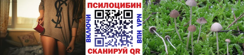 omg как зайти Донской Галлюциногенные грибы Cubensis