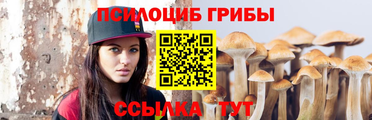 Донской  Галлюциногенные грибы ЛСД  Галлюциногенные грибы Psilocybine cubensis  Вход с VPN 